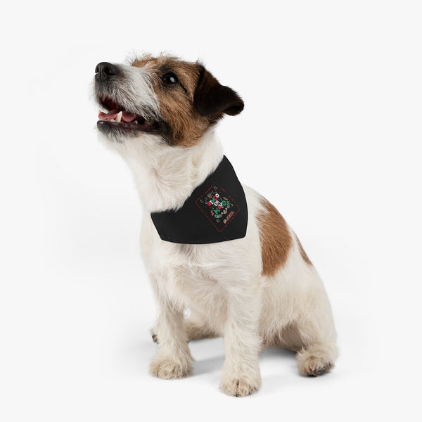Cinco de Mayo S3 Pet Bandana Collar