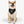 Load image into Gallery viewer, Cinco de Mayo S3 Pet Bandana Collar
