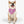 Load image into Gallery viewer, Cinco de Mayo S4 Pink Pet Bandana Collar

